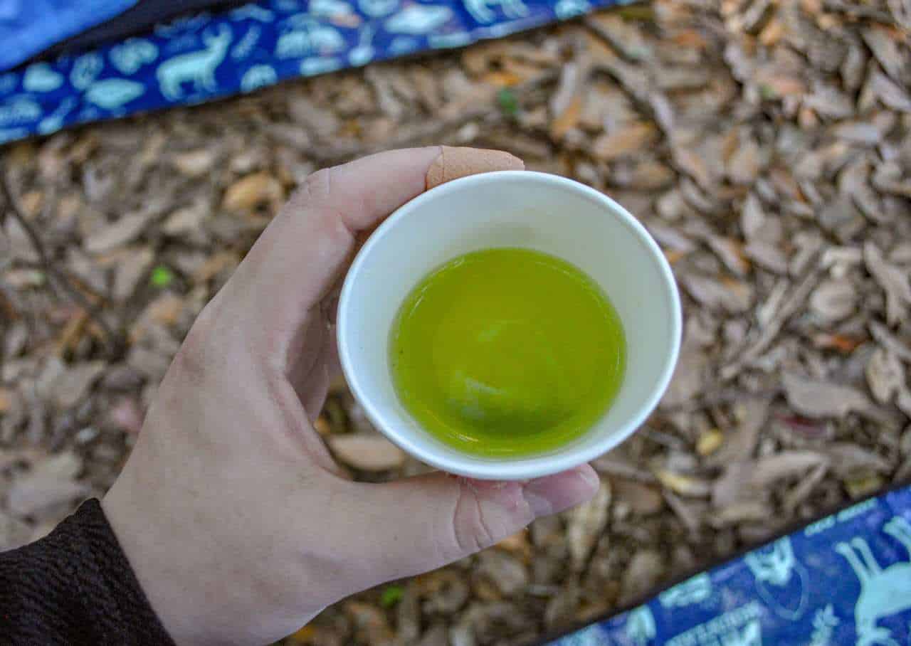 Tea tasting in the forest