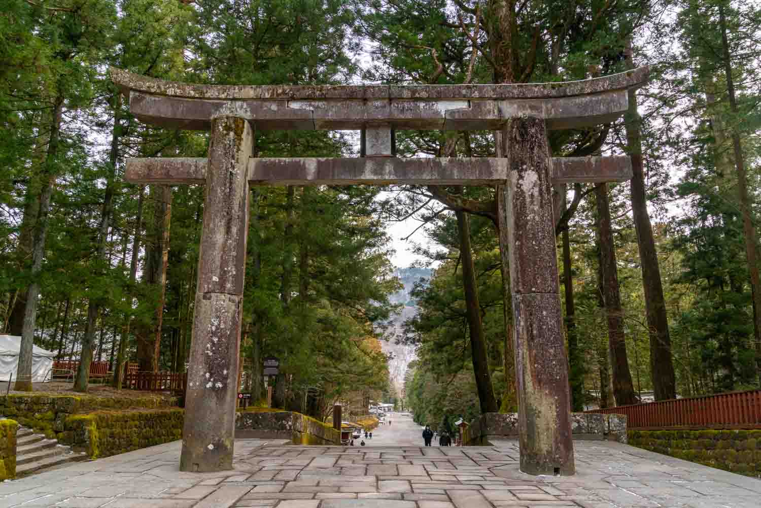 Nikko Toshogu Shrine torii