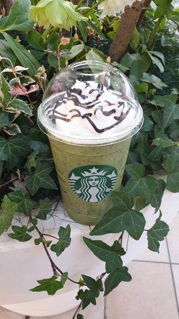 Matcha frappuccino in Japan