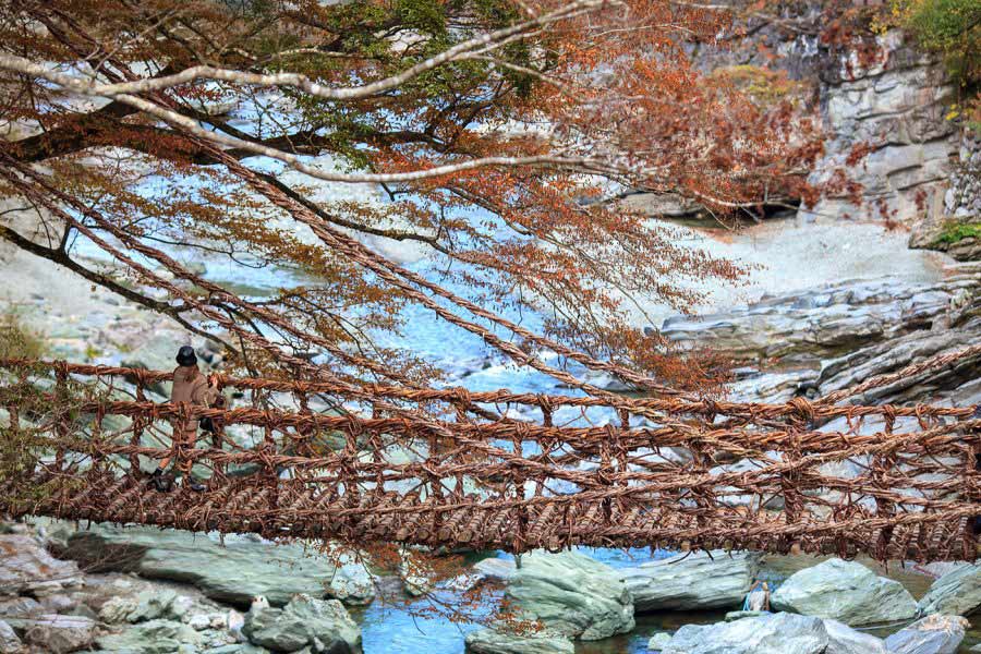 Girl on vine bridge overlooking river in Japan