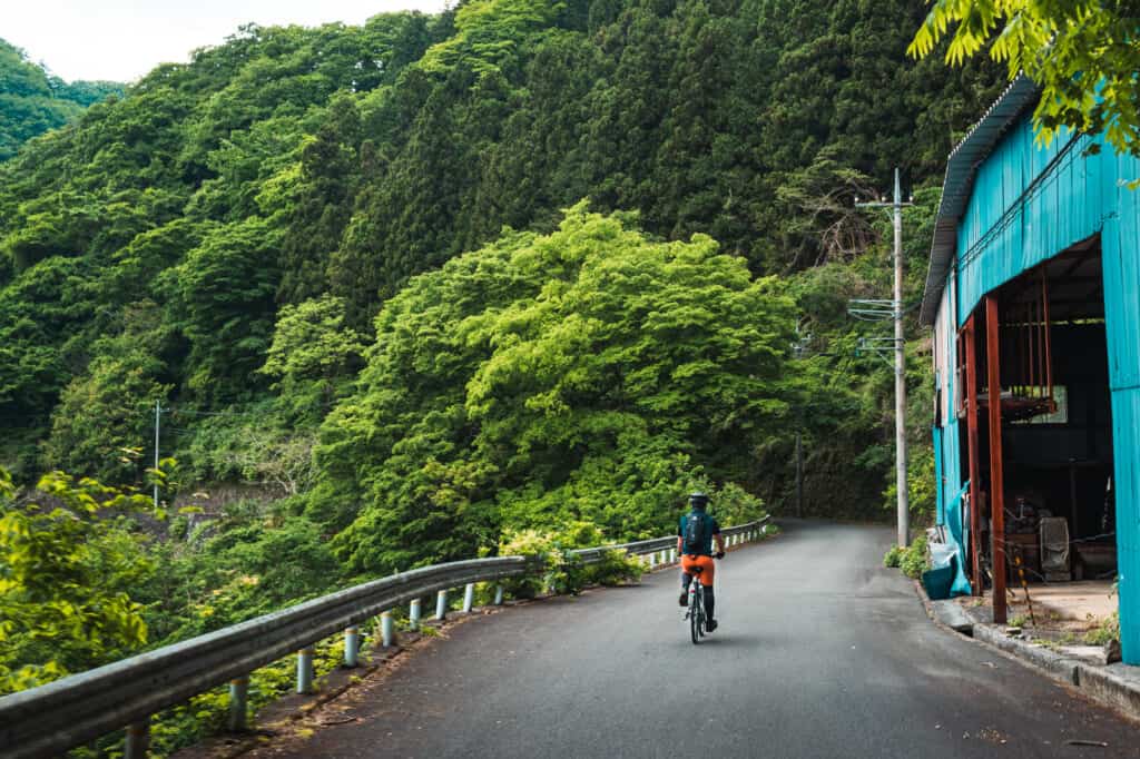 cycling on old okutama road