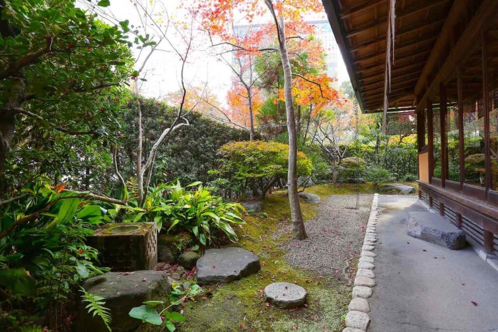 The tea garden at Katsuyama Park in Kitakyushu, Japan