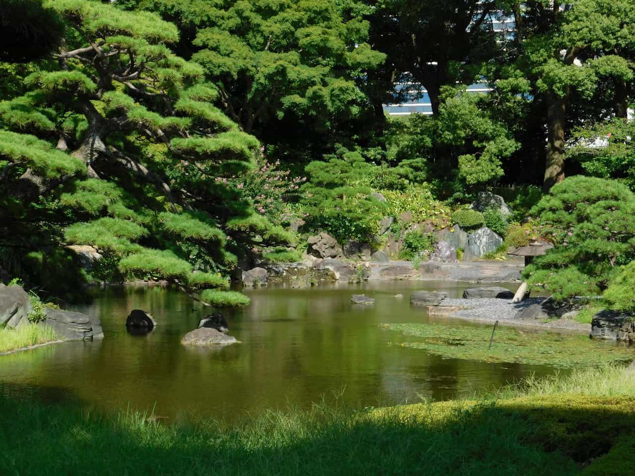 Pond in a Japanese garden.