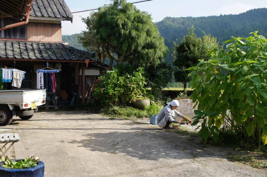 Japanese organic farmer washing vegetables in his farmyard in Oita prefecture, Kyushu