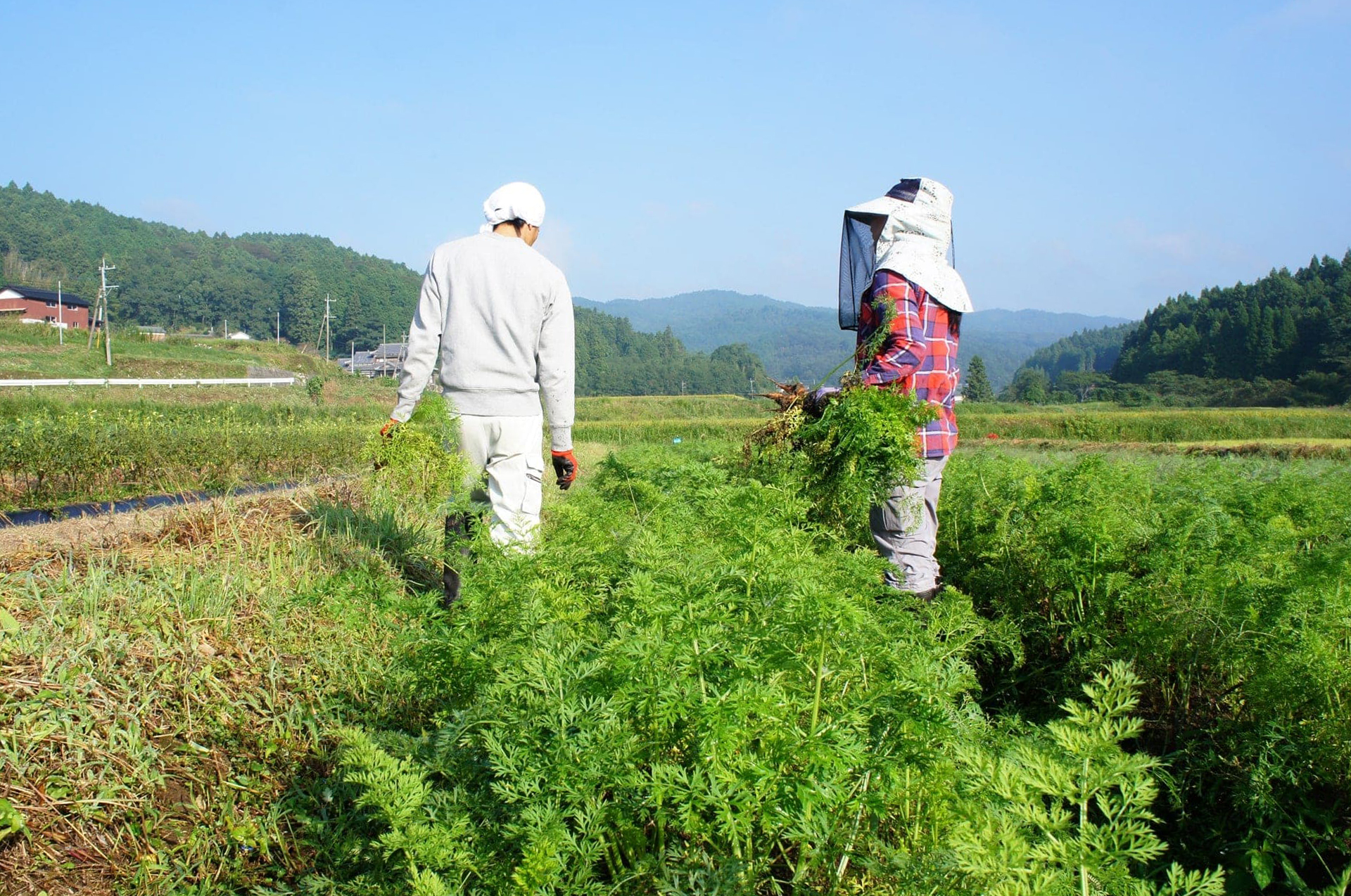 Kunisaki Peninsula: Farm Stay with Locals