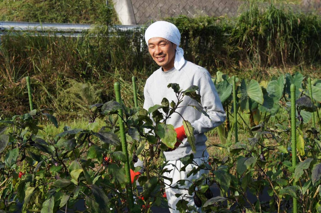 Japanese organic farmer in his vegetables field