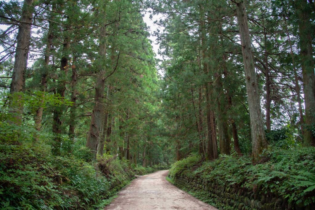 The Cedar Avenue of Nikko, part of the old Nikko Kaido route