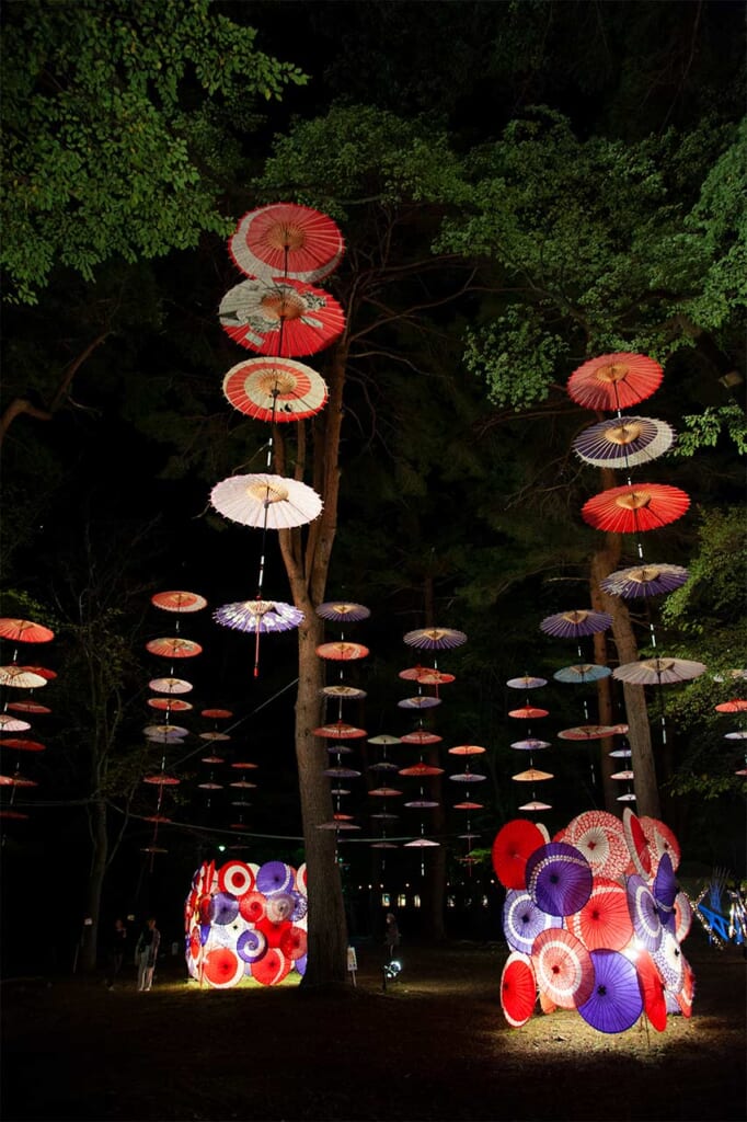 Japanese wagasa on display at night at Tsukiakari Moonlight Flower Gallery in Kinugawa Park
