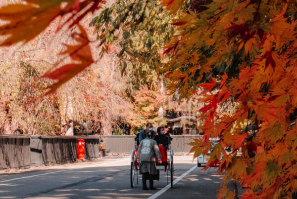 Rickshaw being pulled down a autumn leave covered samurai town called Kakunodate