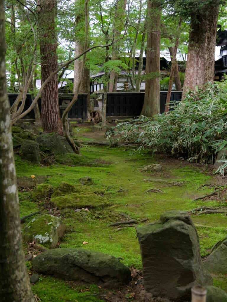 Mossy green Japanese garden of  Odano Samurai House