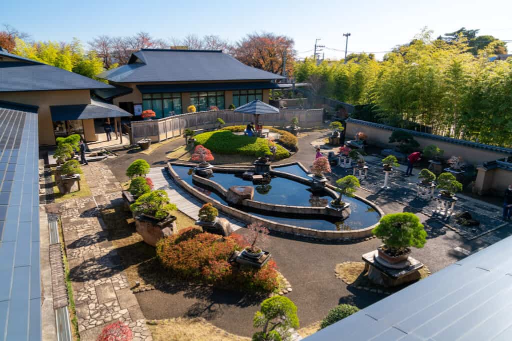 The large central bonsai garden at the Omiya Bonsai Museum, with several evergreen bonsai and a few red and brown autumnal ones