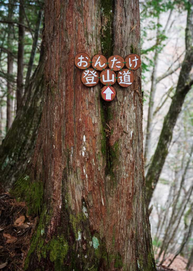 Ontake trail sign on a tree 