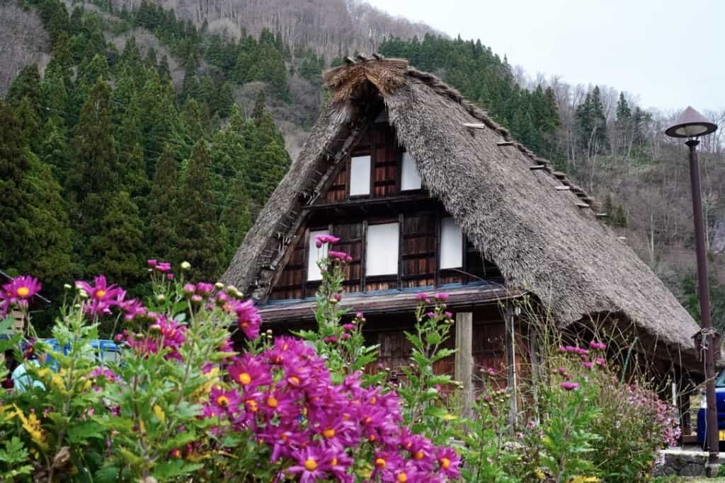 A thatched roof house in Gokayama with purple flowers in the foreground