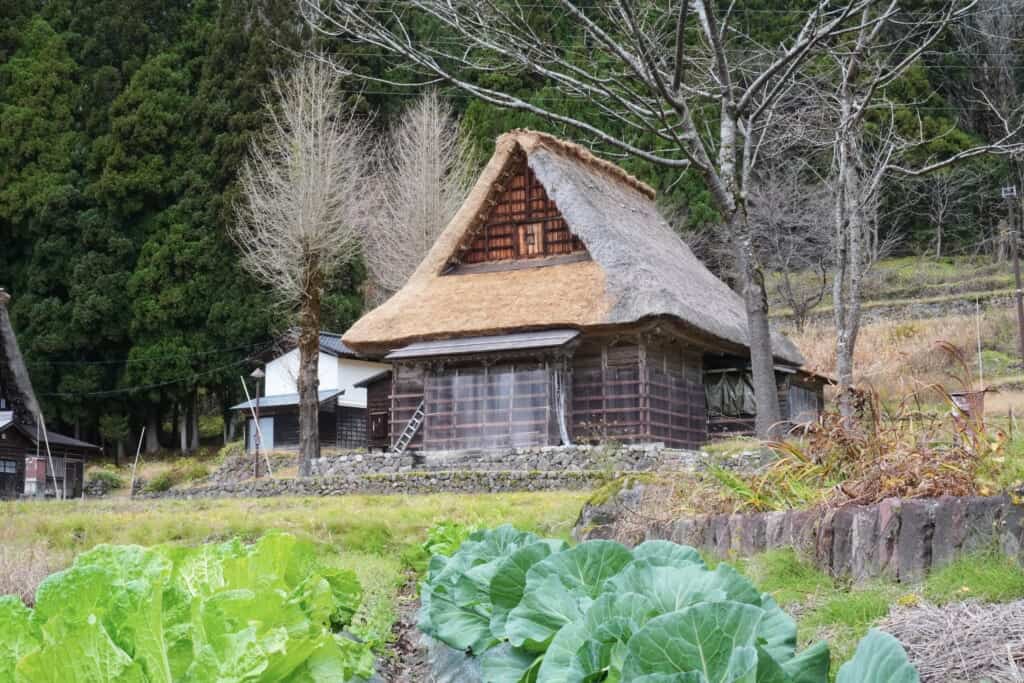 A thatched roof house in Gokayama with vegetables growing in the foreground
