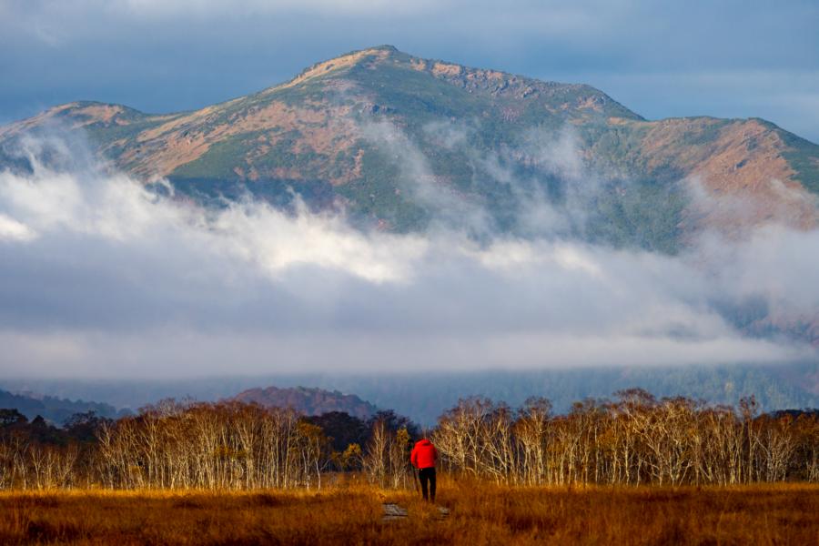 man in Jacket facing a Misty Mountain view in Japan