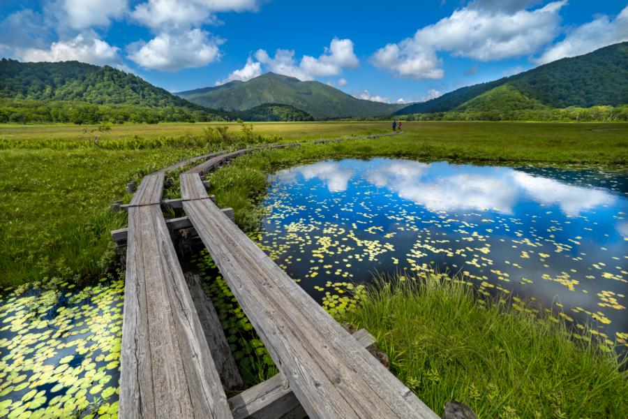Wooden walkway across marsh with pond reflecting blue sky in Japan while hiking