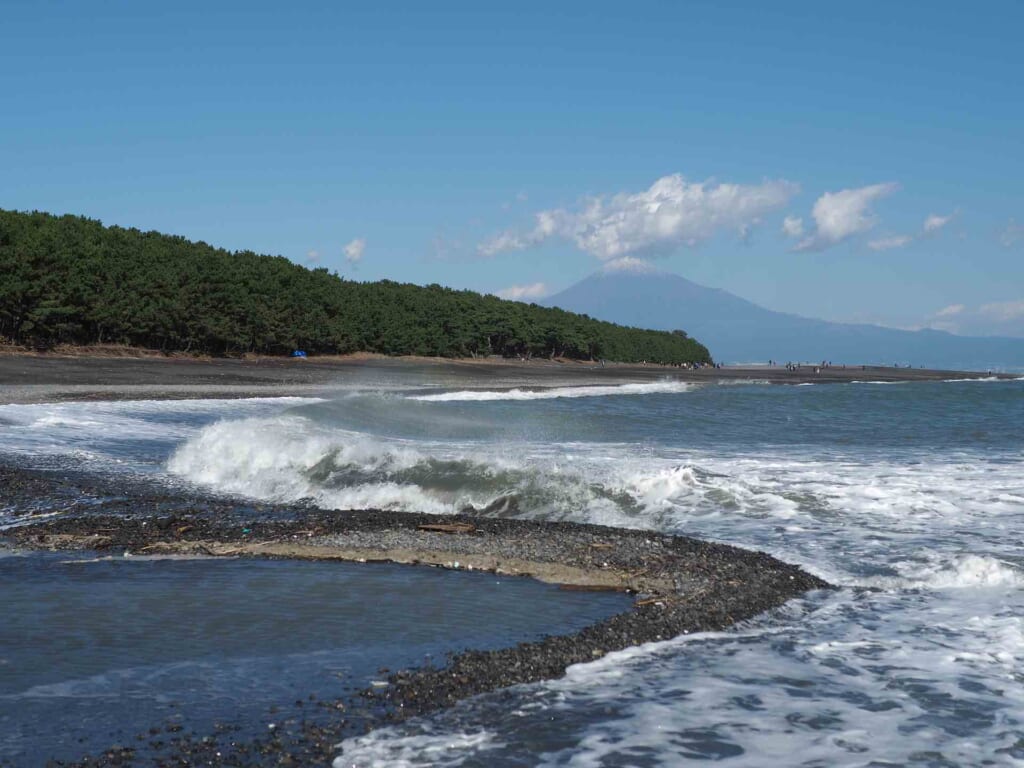 coastal view of mt fuji in japan