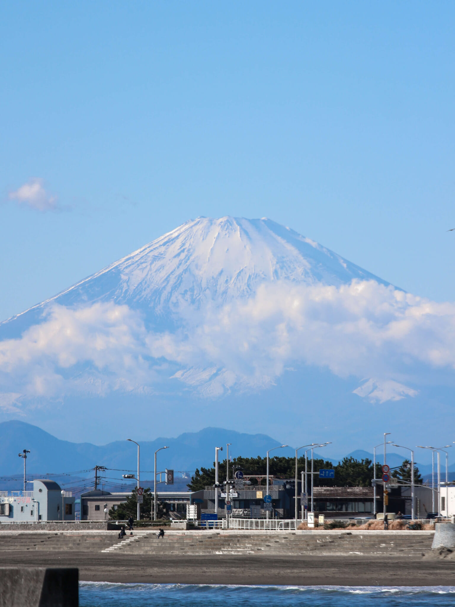 The Best Family-Friendly Things to See and Do in Enoshima