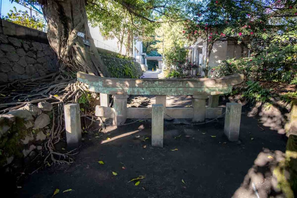 a half-buried torii gate from Kurokami Burying Torii Gate near sakurajima, Kagoshima, JApan