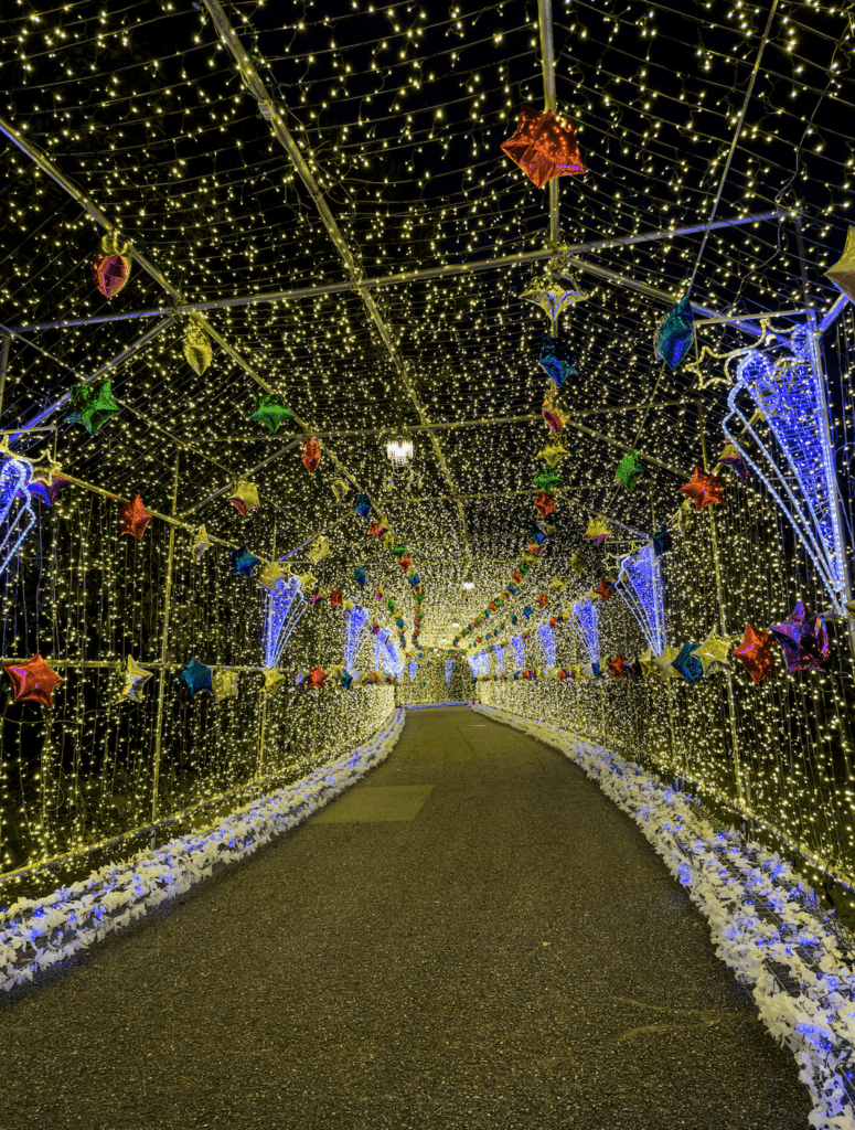 illumination tunnel