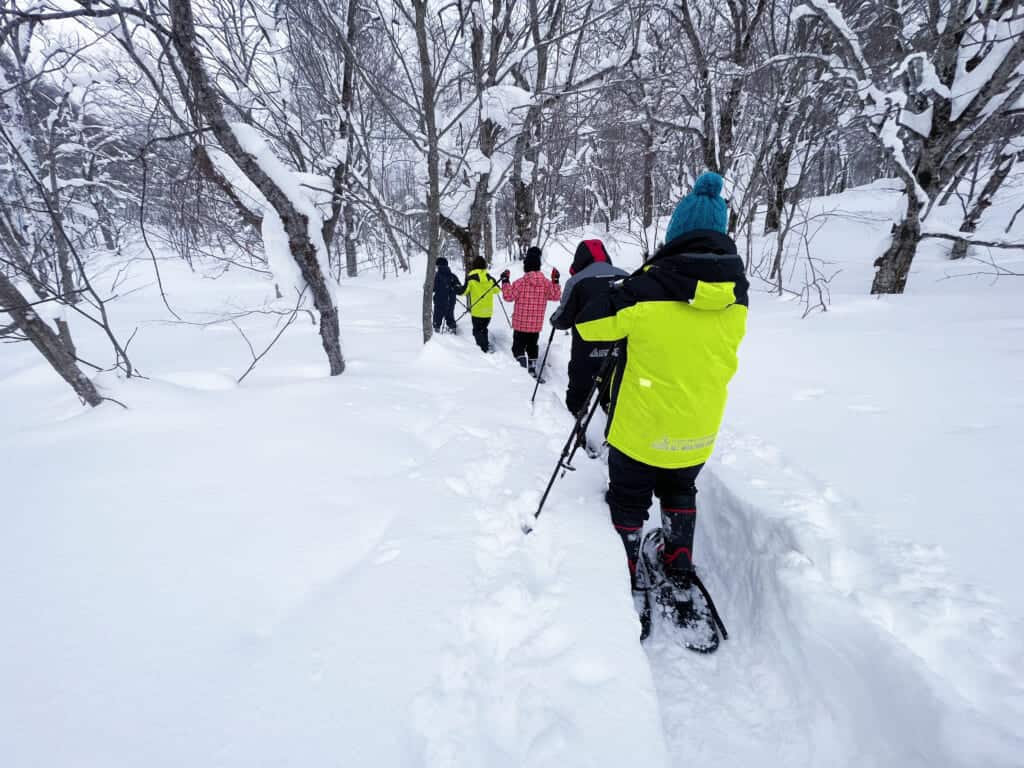 snow shoeing in the forest in Semboku, Akita, Japan