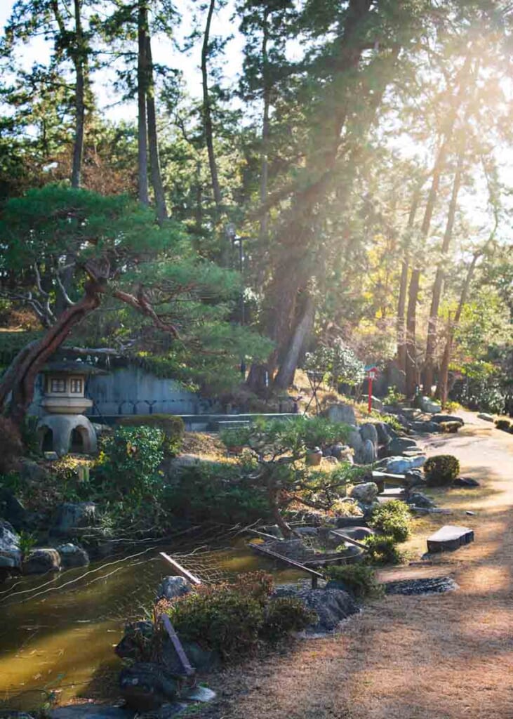 Japanese pine garden  in Shizuoka city, Japan