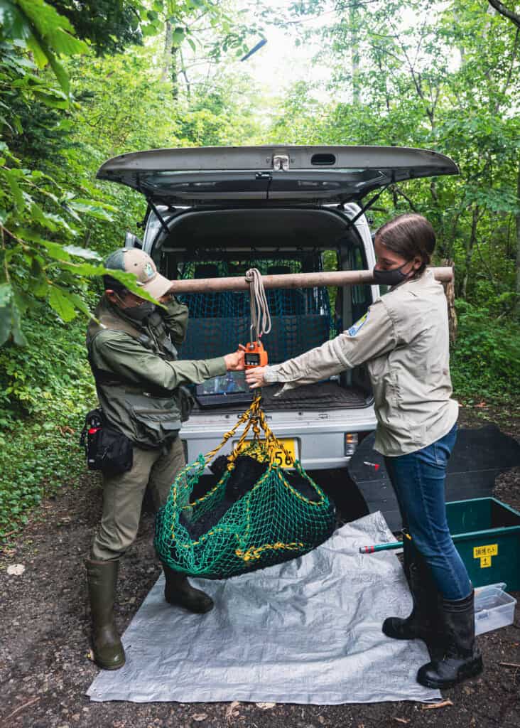 black bear conservation gear with two people