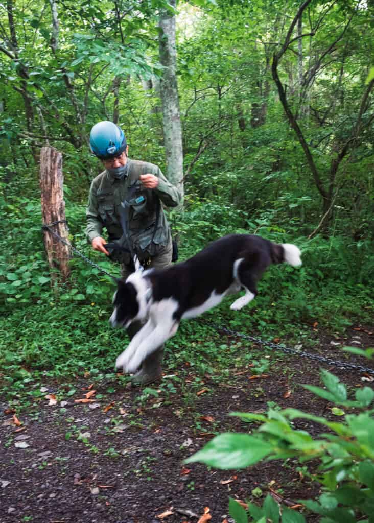 researcher next to dog used to assist in asiatic black bear conservation