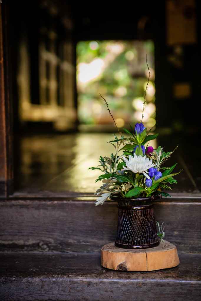 potted flowers within doorframe of traditional japanese building in japan