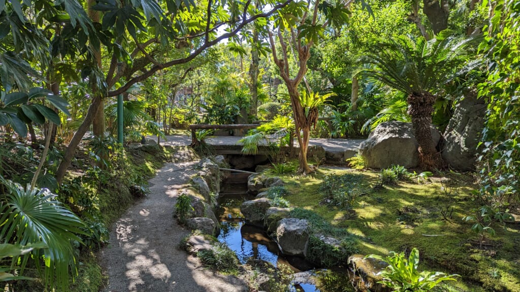 Luscious greenery at Amami no Sato in Kagoshima