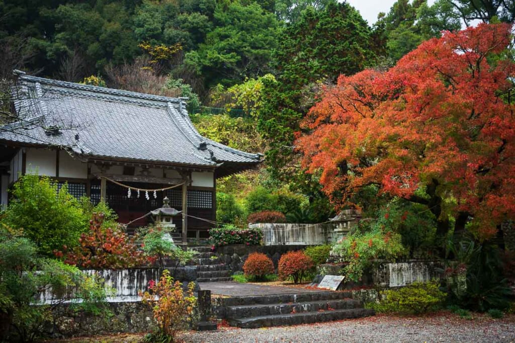 Temple with autumn colors in Hamamatsu, Japan