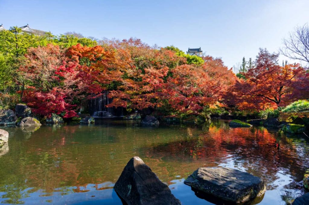 Kokoen Garden during the momiji fall season in Japan