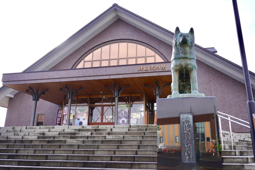 Odate Hachiko statue in front of Akita Dog Visitor Center