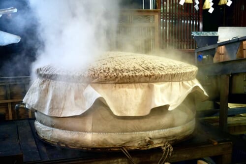 large container of steaming rice inside brewery