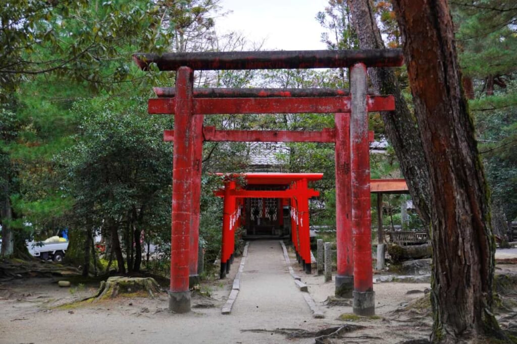 A line of red torii gates near the Iga-ryu Ninja Museum