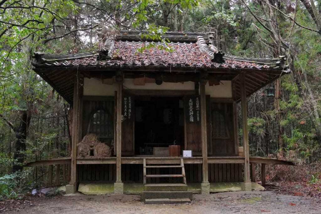 Shinobi Jinja Shrine surrounded by trees at Koka Ninja Village in Japan