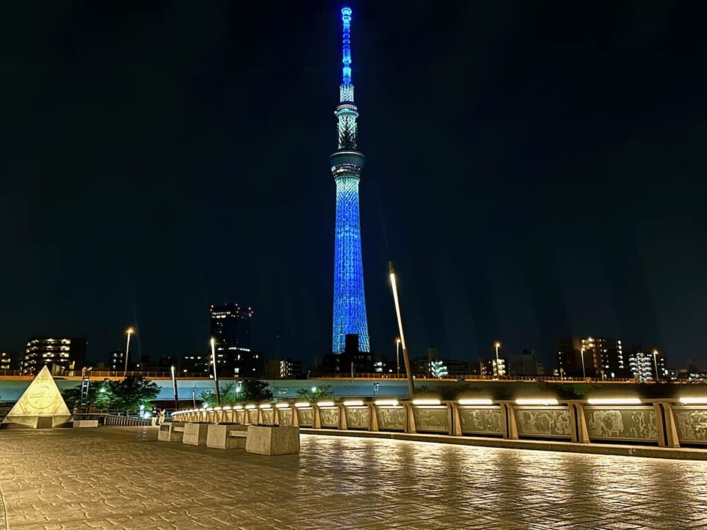 night view of Sakurabashi Bridge with Tokyo Skytree