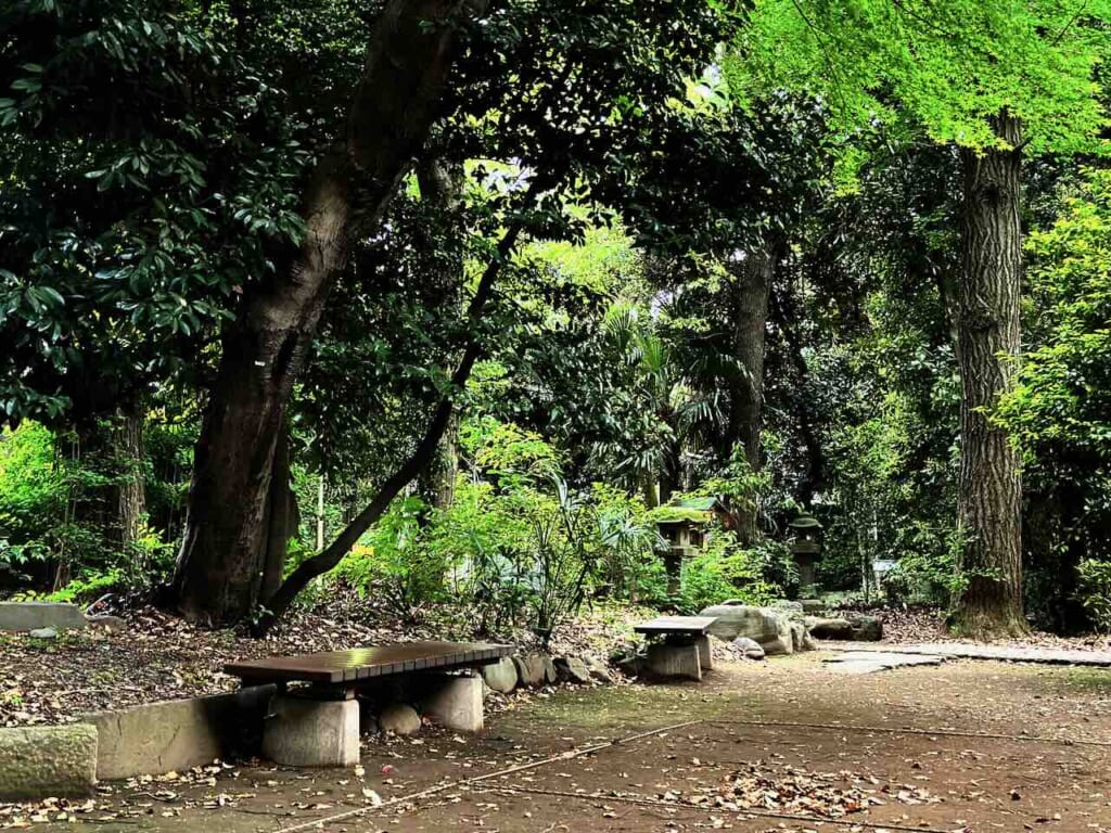 benches at Yoyogi Hachimangu Shrine grounds in Tokyo