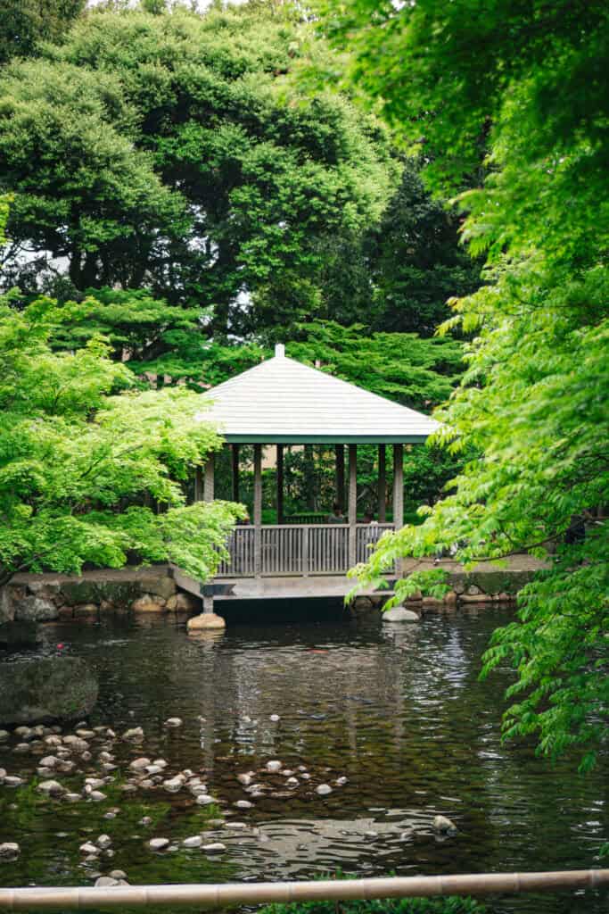 Otaguro Park with green leaves in Ogikubo