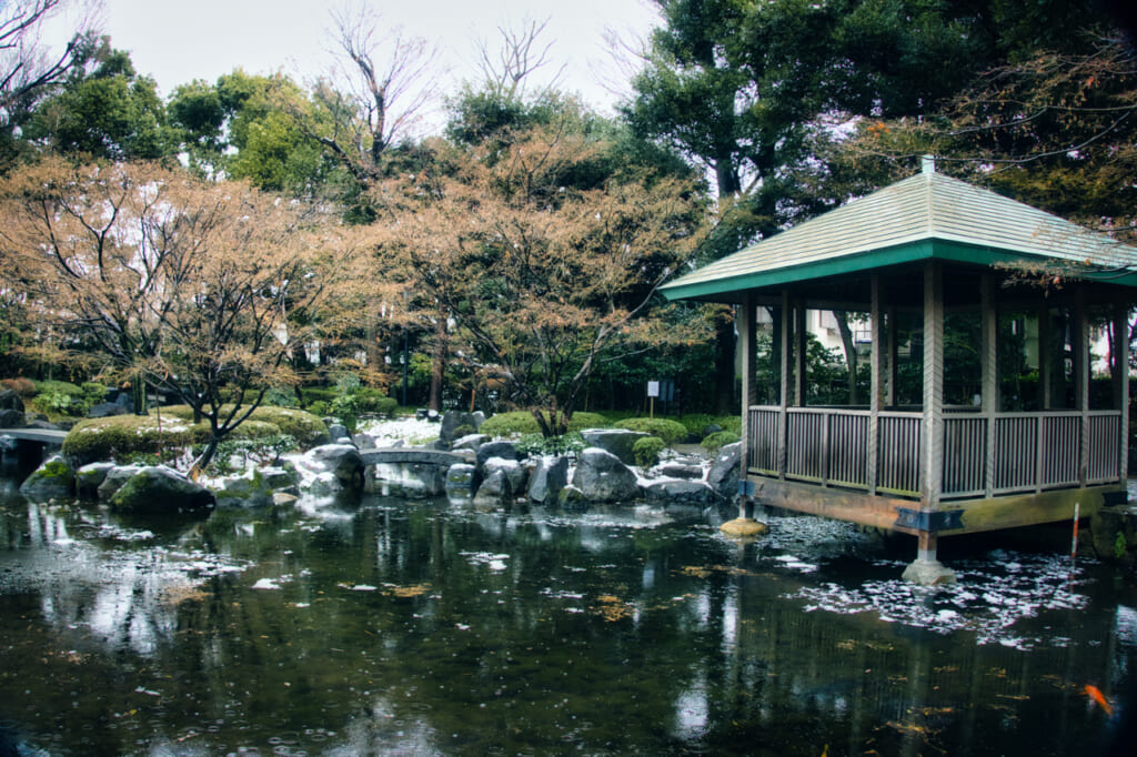 pond in Ogikubo during winter