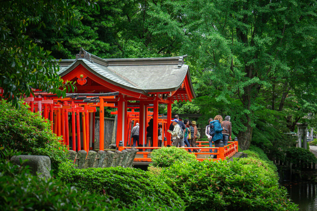 Nezu shrine during summer