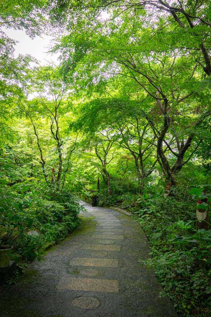 green nature in Akiruno