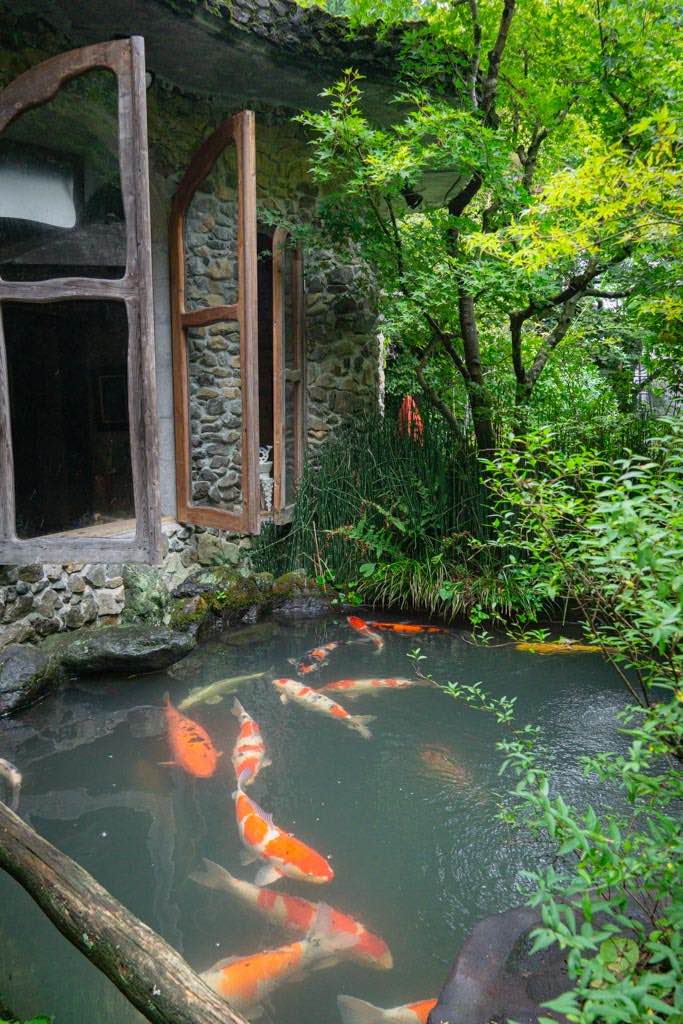 A koi pond in the Fukazawa Tiny Museum