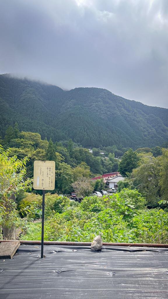 Views on the mountain in Akiruno