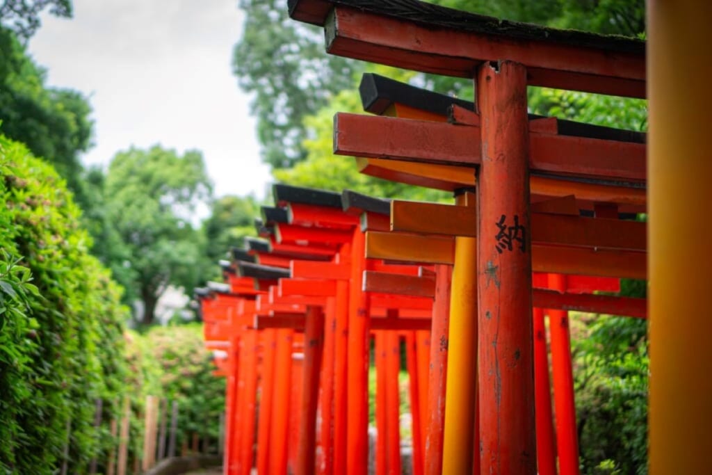 Torii details in Nezu Shrine