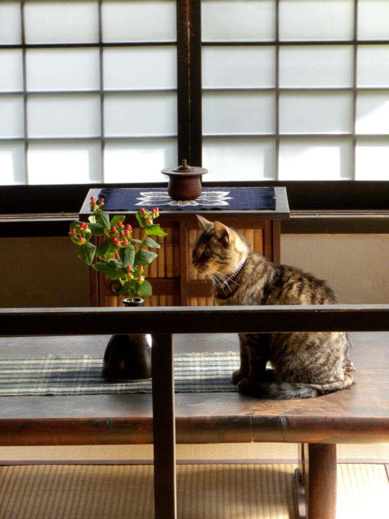 Interior of Kanjiro Kawai's house with cat