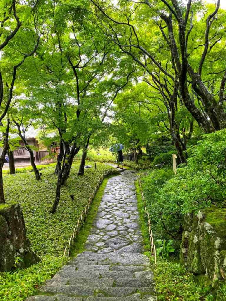 Garden at MOA Museum of Art 