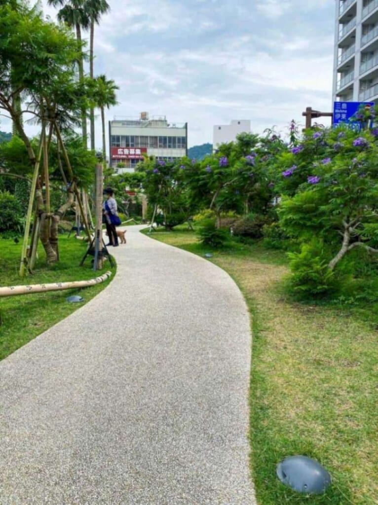 Jacaranda Promenade