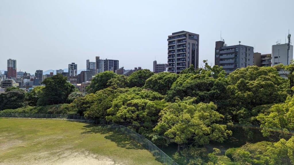 Fukuoka City buildings with luscious green trees in front