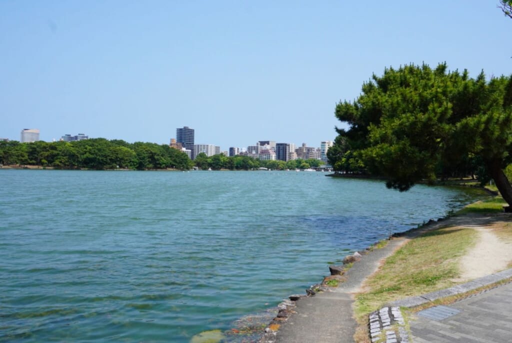 A large blue pond on a windy spring day